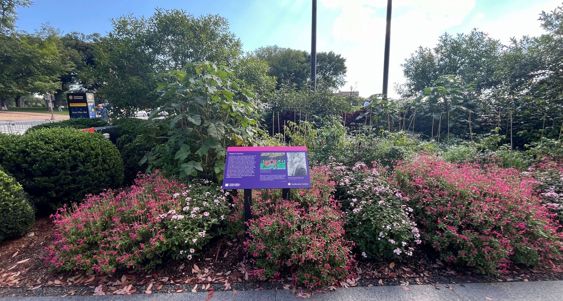 Pippin's Garden on the grounds of the National Museum of African American History & Culture image. Click for full size.