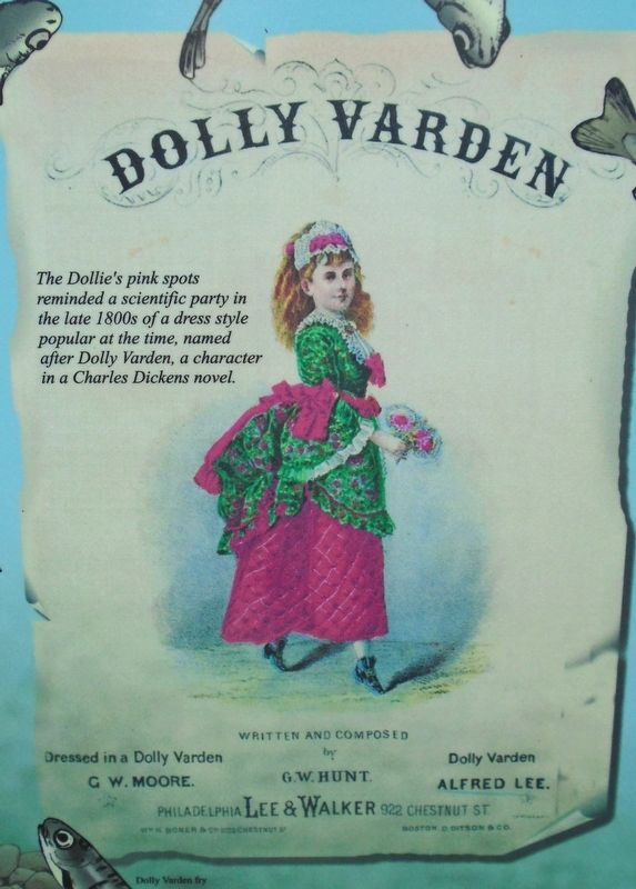 Dolly Varden: Skagway River Regulars Marker Detail. Click for full size. Dolly Varden: Skagway River Regulars Marker Detail image. Click for full size.