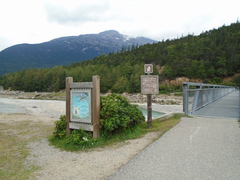 Dolly Varden: Skagway River Regulars Marker. Click for full size. Dolly Varden: Skagway River Regulars Marker image. Click for full size.