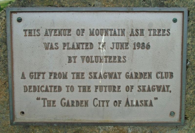 Avenue of Mountain Ash Trees Marker image. Click for full size.