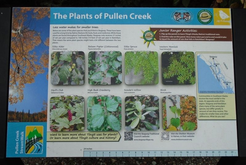The Plants of Pullen Creek Marker. Click for full size. The Plants of Pullen Creek Marker image. Click for full size.