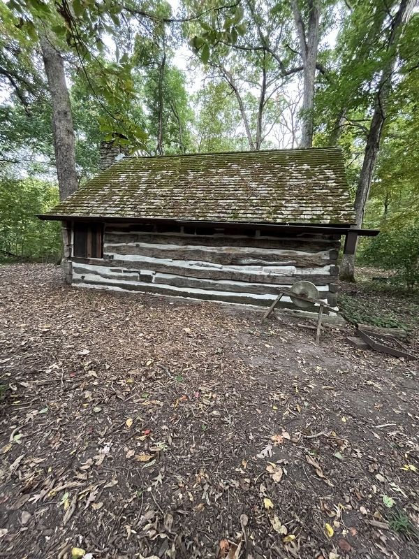 Timber House (rear side) image. Click for full size.