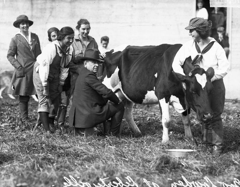 Frank Orren Lowden milking a cow image. Click for full size.