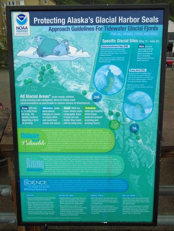 Protecting Alaska's Glacial Harbor Seals Marker. Click for full size. Protecting Alaska's Glacial Harbor Seals Marker image. Click for full size.