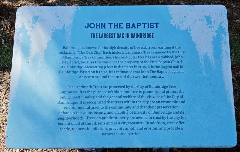 John the Baptist Marker image. Click for full size.