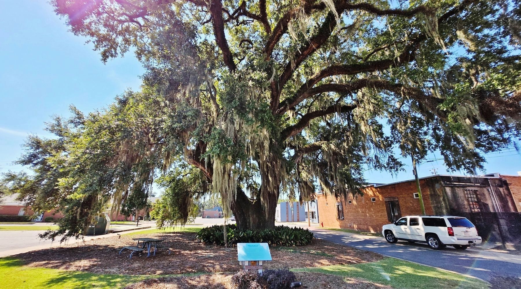John the Baptist Marker & Tree image. Click for full size.