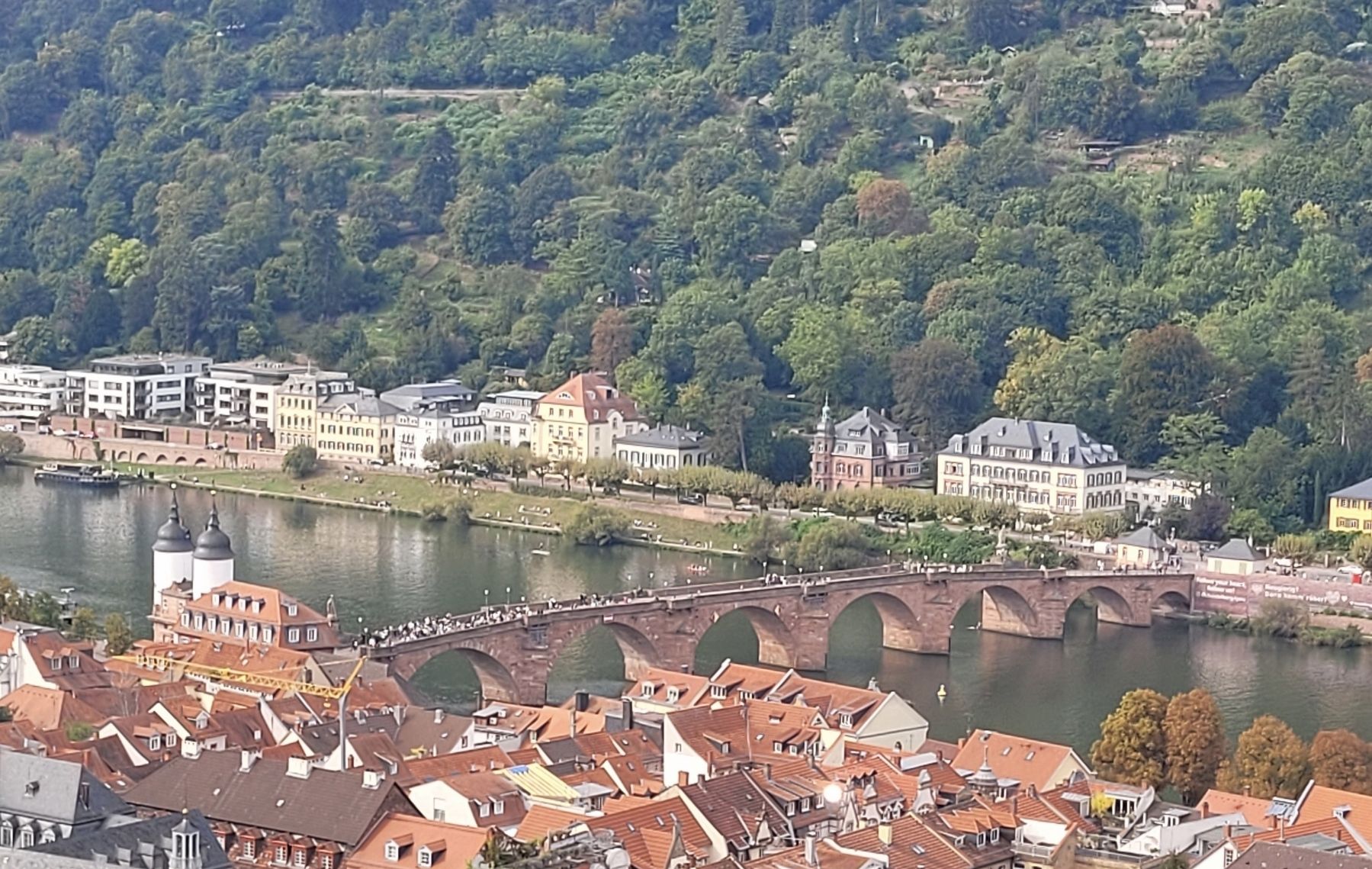 The view of the bridge from the castle. Click for full size. The view of the bridge from the castle image. Click for full size.