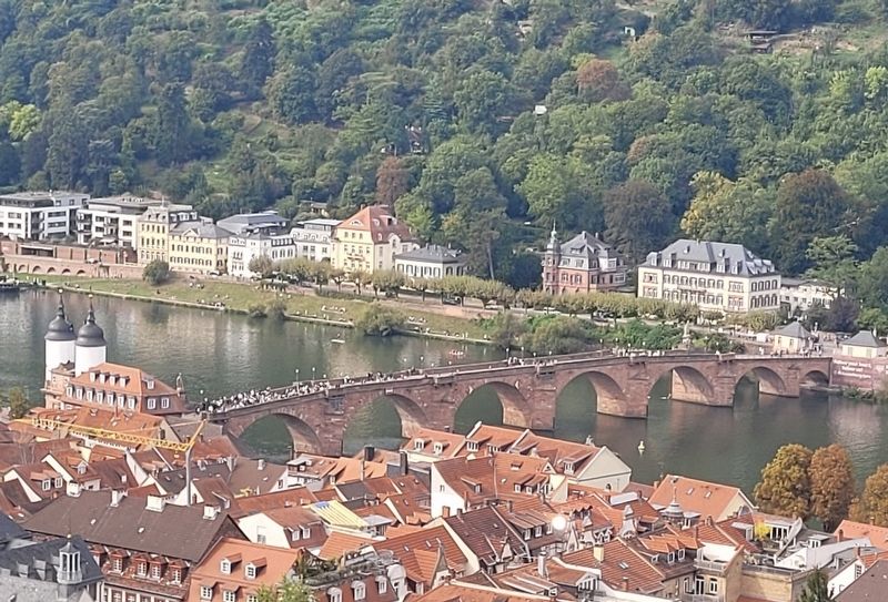 The view of the old bridge from the castle. Click for full size. The view of the old bridge from the castle image. Click for full size.
