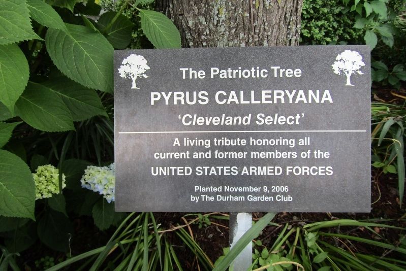 The Patriotic Tree Marker. Click for full size. The Patriotic Tree Marker image. Click for full size.