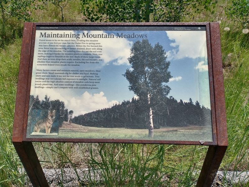 Maintaining Mountain Meadows Marker image. Click for full size.
