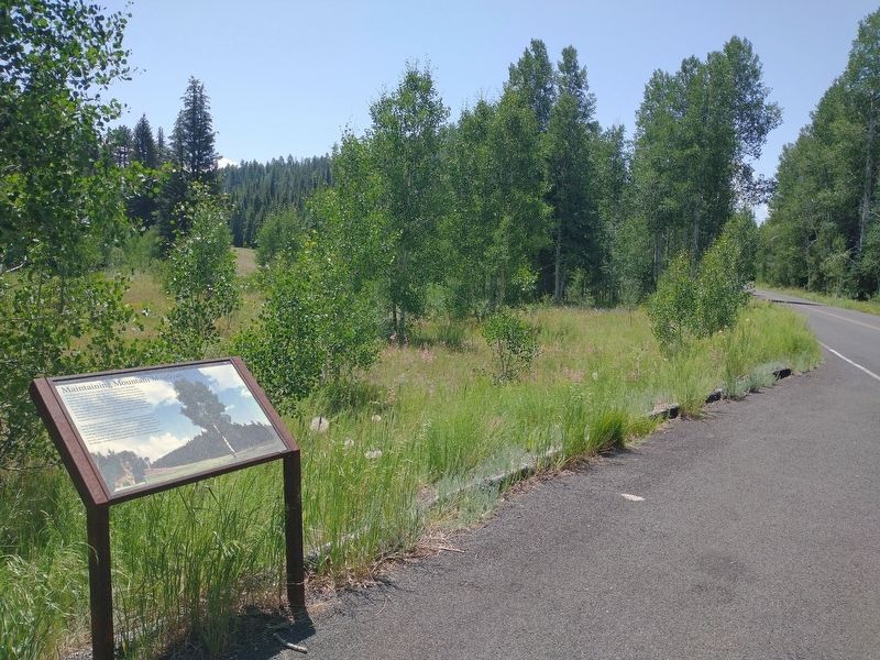 Maintaining Mountain Meadows Marker image. Click for full size.