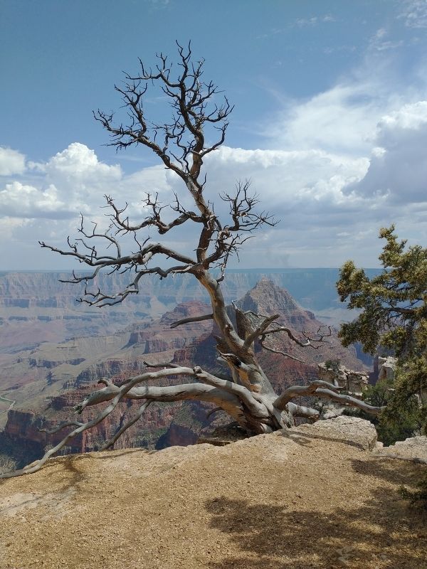 Walhalla Overlook image. Click for full size.