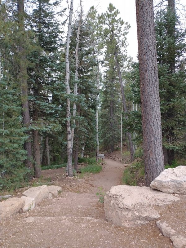 North Kaibab Trail image. Click for full size.