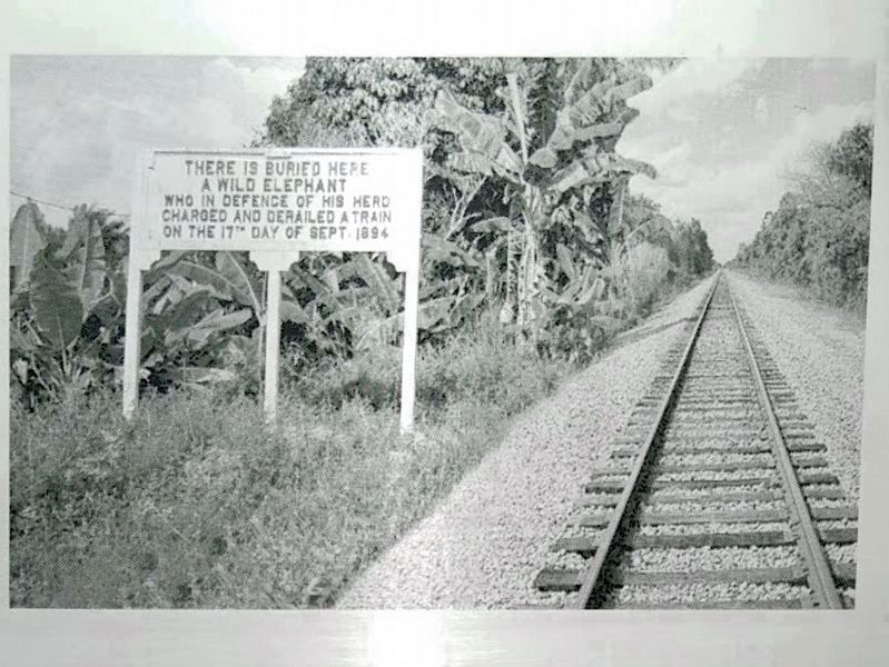Elephant Memorial and Railroad Tracks. Click for full size. Elephant Memorial and Railroad Tracks image. Click for full size.