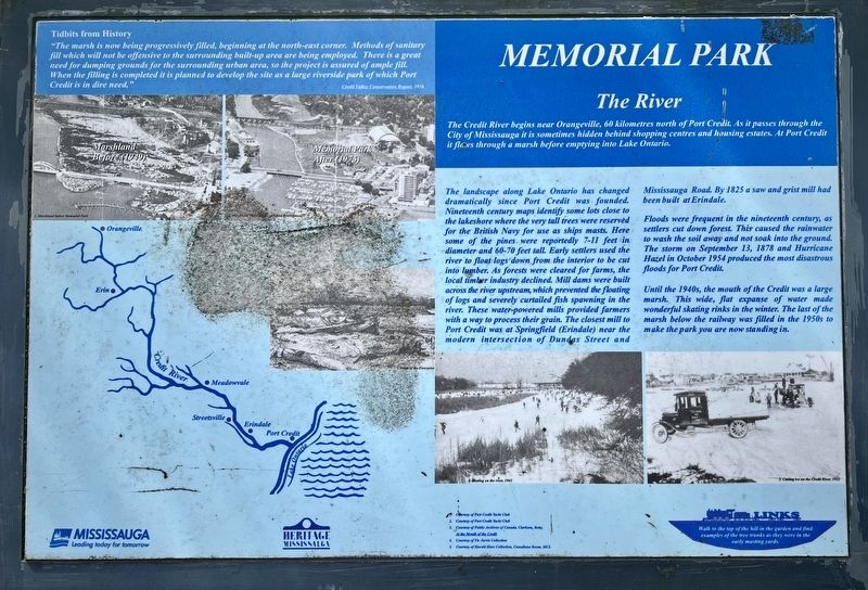 Memorial Park Marker image. Click for full size.