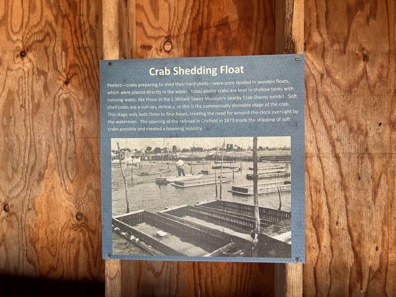 Crab Shedding Float Marker. Click for full size. Crab Shedding Float Marker image. Click for full size.