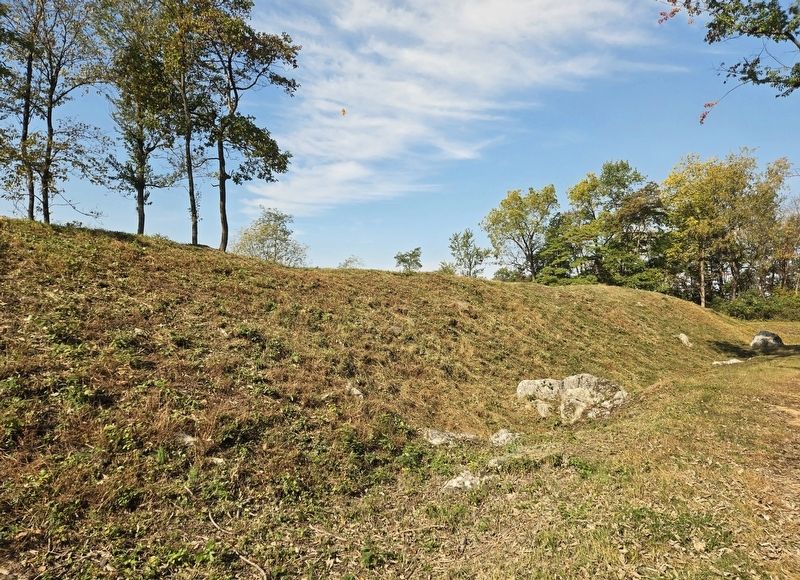 Star Fort. Click for full size. Star Fort image. Click for full size.