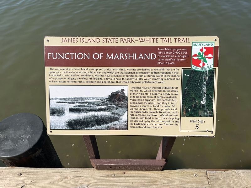 Function of Marshland sign image. Click for full size.