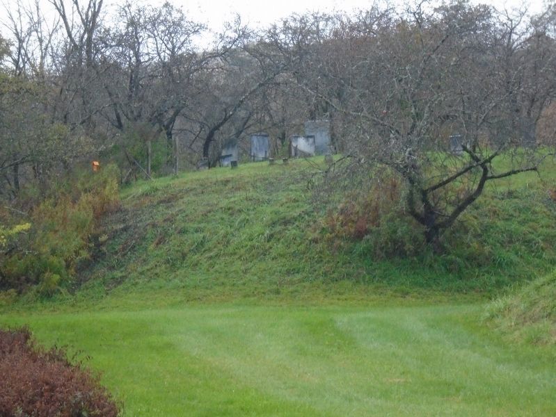Herkimer Cemetery on knoll. Click for full size. Herkimer Cemetery on knoll image. Click for full size.