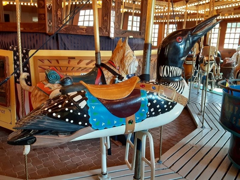 The Empire State Carousel Loon. Click for full size. The Empire State Carousel Loon image. Click for full size.