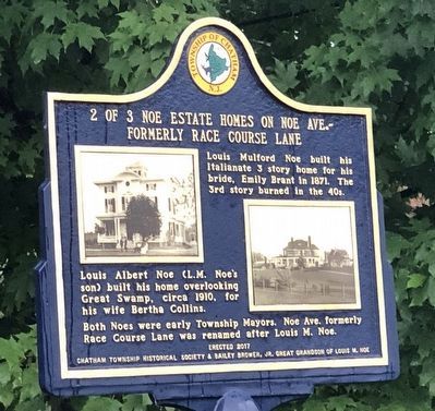2 of 3 Noe Estate Homes on Noe Ave. side of marker image. Click for full size.