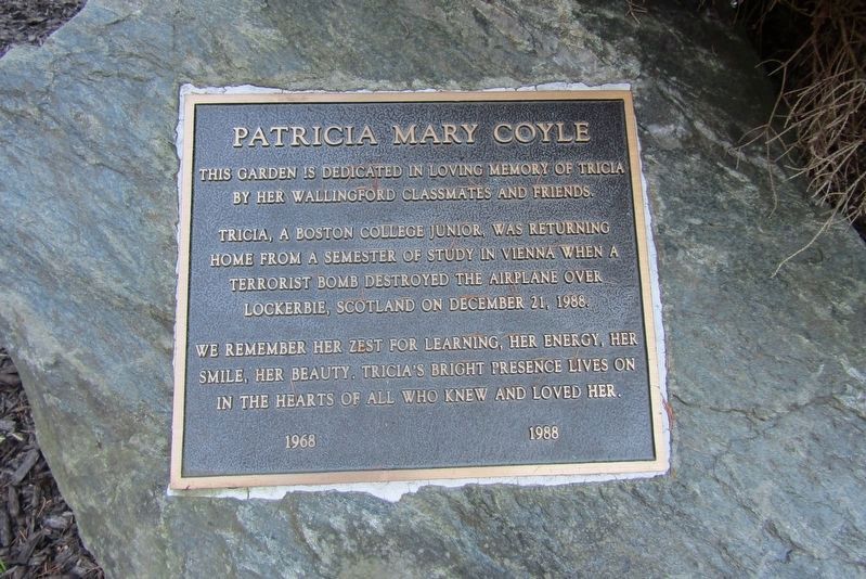 Patricia Mary Coyle Marker. Click for full size. Patricia Mary Coyle Marker image. Click for full size.