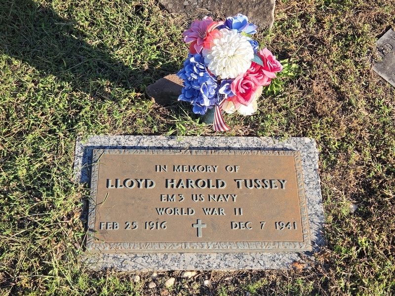 Lloyd Harold Tussey cenotaph image. Click for full size.