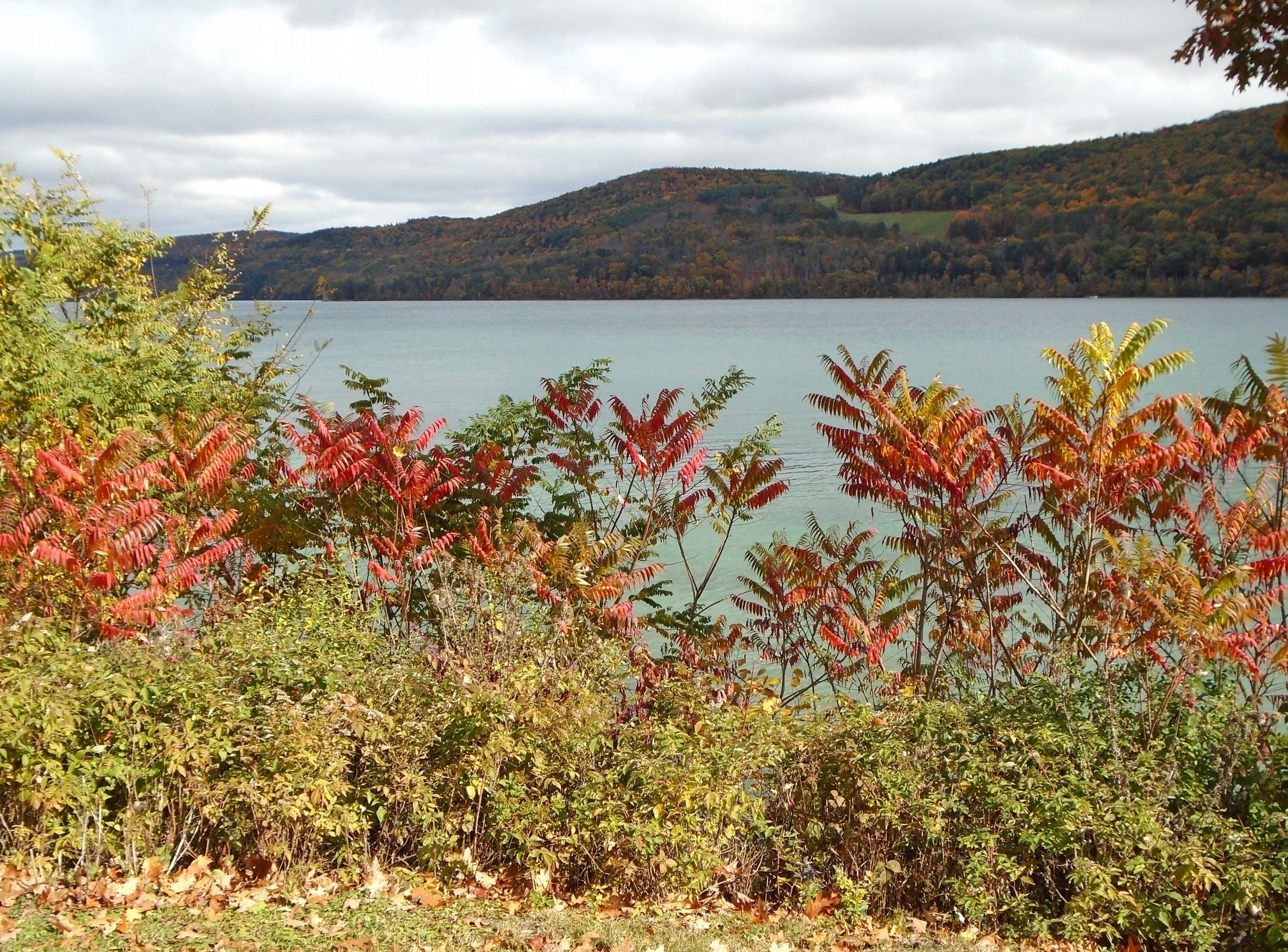 Otsego Lake view from the museum grounds image. Click for full size.