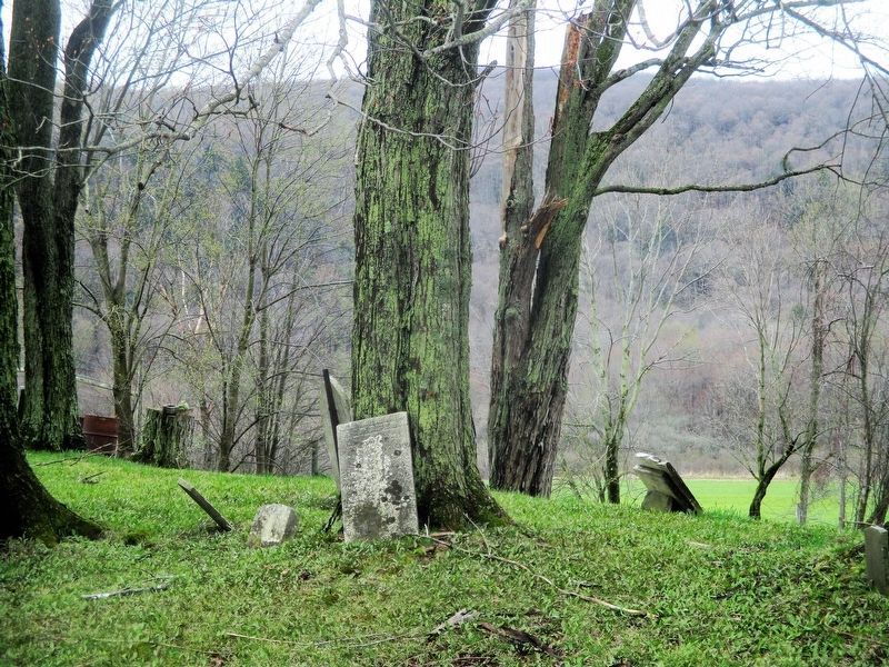 Red School House Cemetery. Click for full size. Red School House Cemetery image. Click for full size.