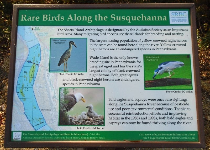 Rare Birds Along the Susquehanna Marker image. Click for full size.