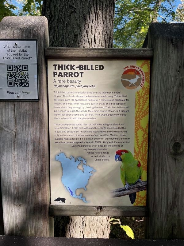 Thick-Billed Parrot Marker image. Click for full size.