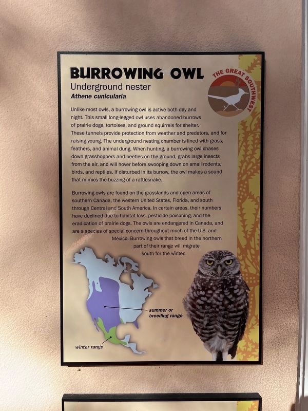 Burrowing Owl Marker image. Click for full size.