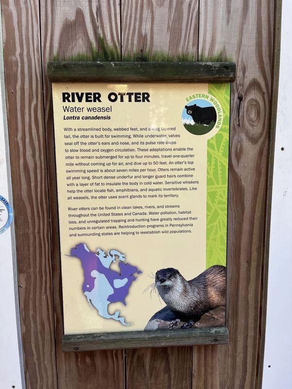 River Otter Marker image. Click for full size.