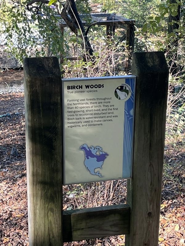 Birch Woods Marker. Click for full size. Birch Woods Marker image. Click for full size.