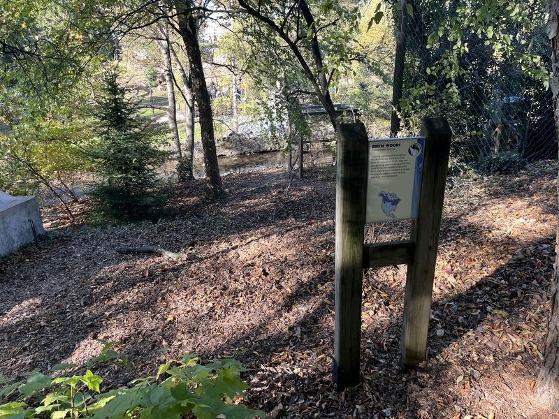 Birch Woods Marker. Click for full size. Birch Woods Marker image. Click for full size.