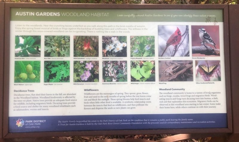 Austin Gardens Woodland Habitat Marker. Click for full size. Austin Gardens Woodland Habitat Marker image. Click for full size.