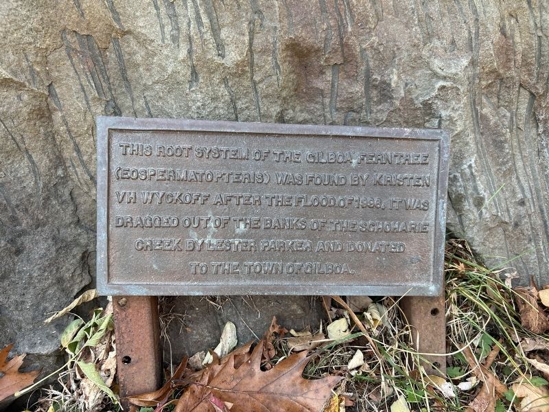 Root System Marker image. Click for full size.