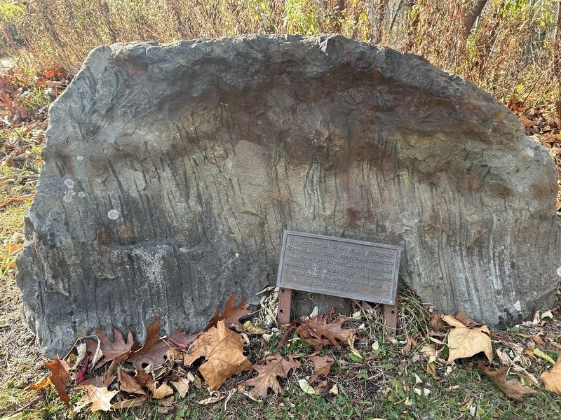 Root System Marker image. Click for full size.