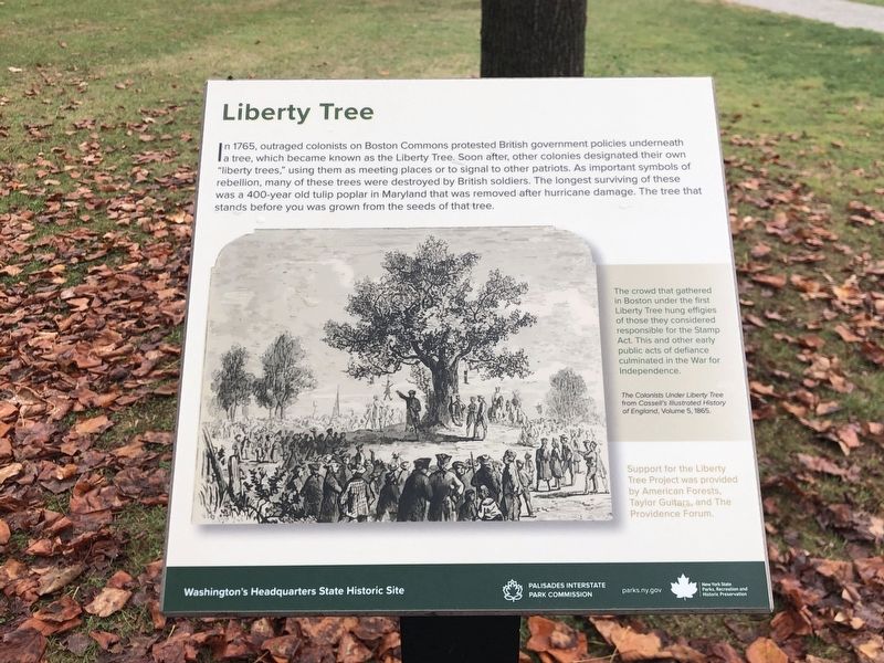 Liberty Tree Marker image. Click for full size.