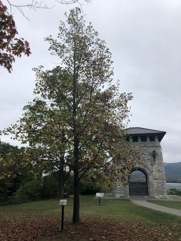 Liberty Tree Marker image. Click for full size.