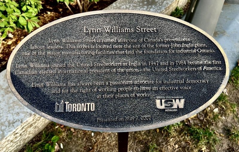 Lynn Williams Street Marker image. Click for full size.