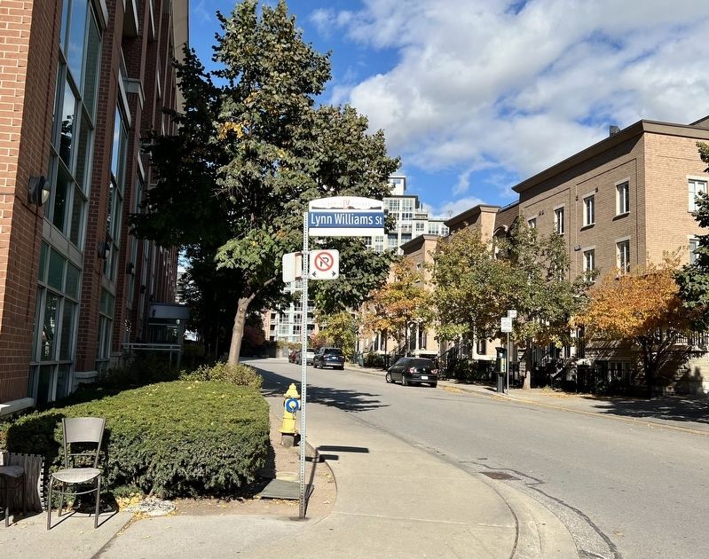 Lynn Williams Street, Toronto image. Click for full size.