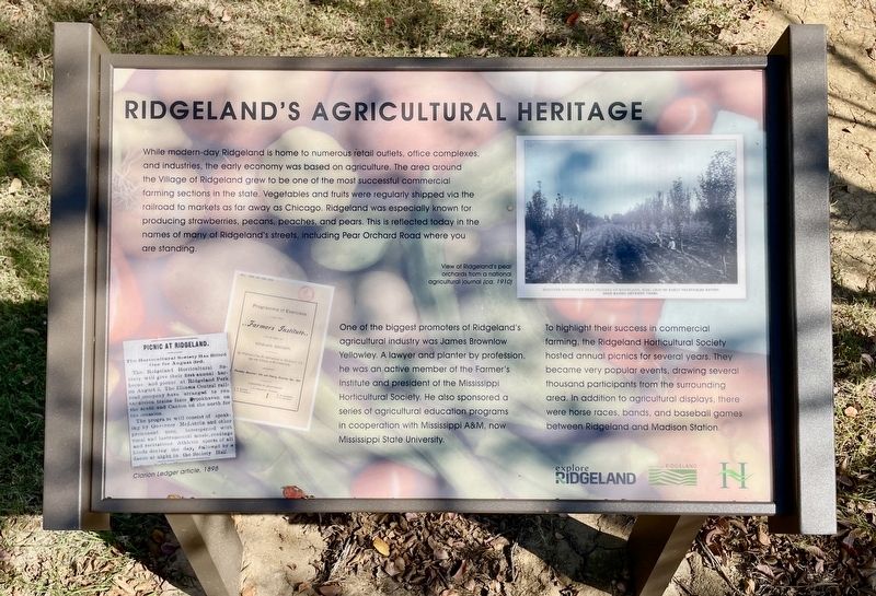 Ridgeland's Agricultural Heritage Marker. Click for full size. Ridgeland's Agricultural Heritage Marker image. Click for full size.