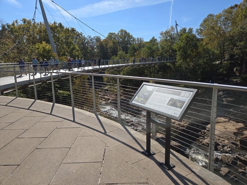 The Falls Forgotten Marker looking towards Liberty Bridge. Click for full size. The Falls Forgotten Marker looking towards Liberty Bridge image. Click for full size.