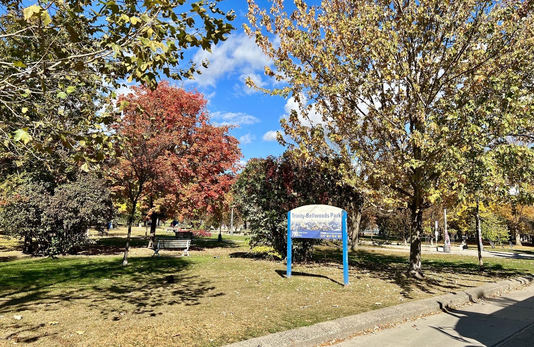 Trinity-Bellwoods Park, 2024 image. Click for full size.