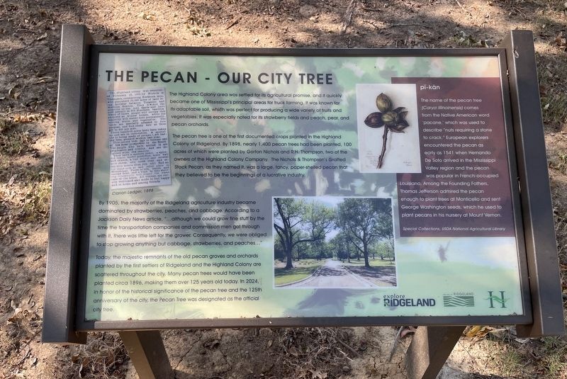 The Pecan � Our City Tree Marker image. Click for full size.