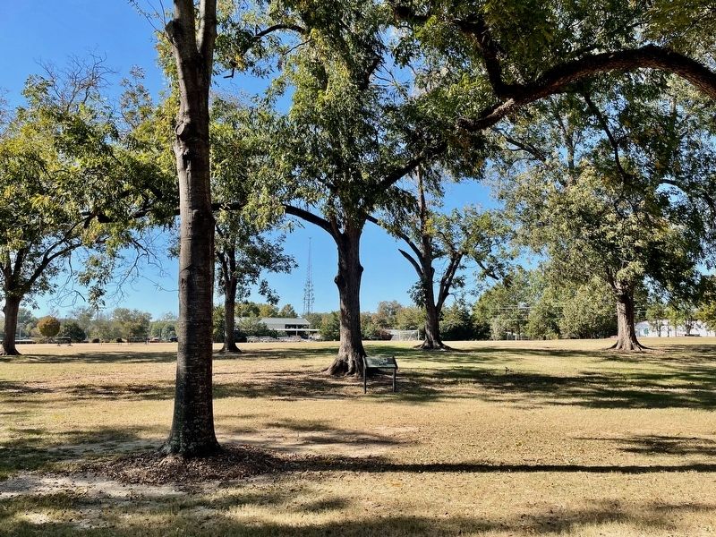 Marker amongst some of the pecan trees. image. Click for full size.