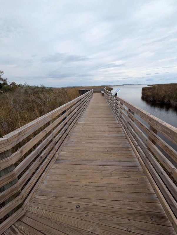 Life on Currituck Sound Marker. Click for full size. Life on Currituck Sound Marker image. Click for full size.