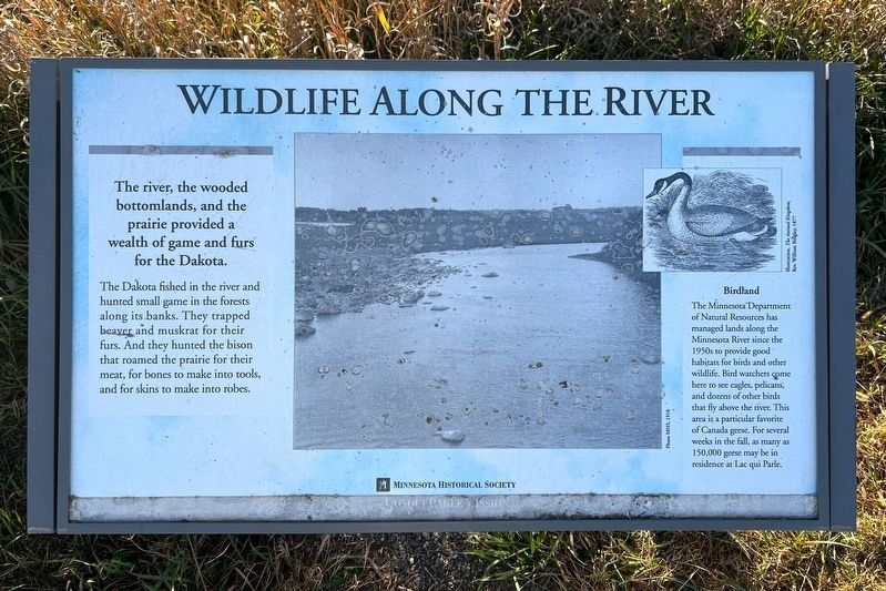 Wildlife Along the River Marker image. Click for full size.