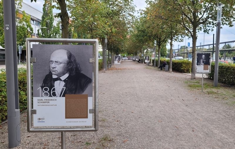 The view of the Karl Friedrich Schimper Marker in the park image. Click for full size.